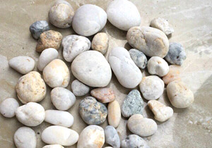 SỎI CUỘI TRANG TRÍ SÂN VƯỜN